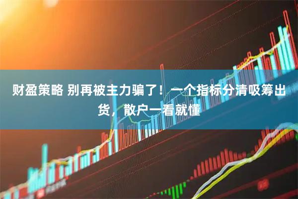 财盈策略 别再被主力骗了！一个指标分清吸筹出货，散户一看就懂