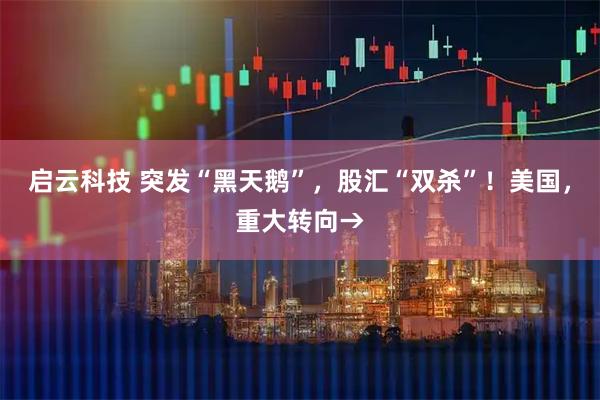 启云科技 突发“黑天鹅”，股汇“双杀”！美国，重大转向→