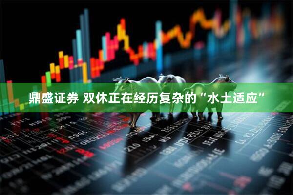 鼎盛证券 双休正在经历复杂的“水土适应”