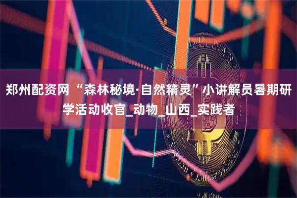 郑州配资网 “森林秘境·自然精灵”小讲解员暑期研学活动收官_动物_山西_实践者